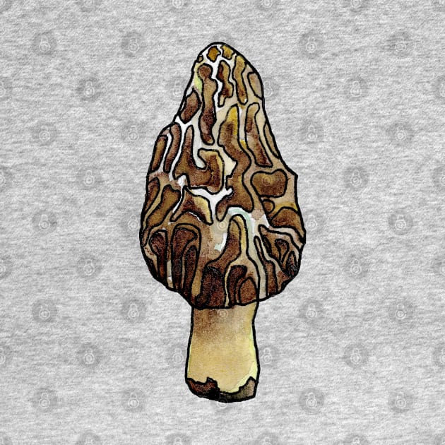 Morel by ThisIsNotAnImageOfLoss